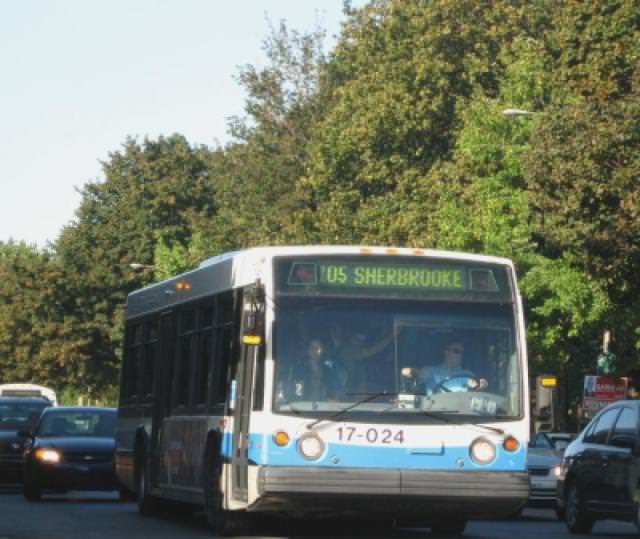autobus