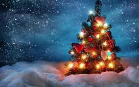 arbre
