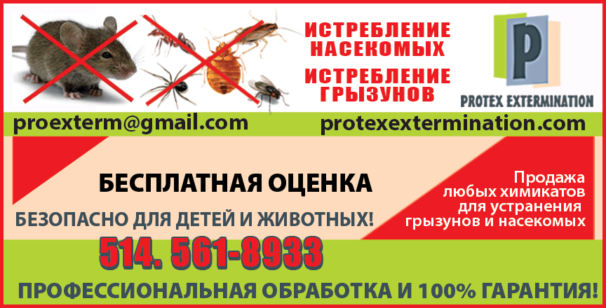 Protex-extermination-864