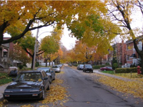 Automn