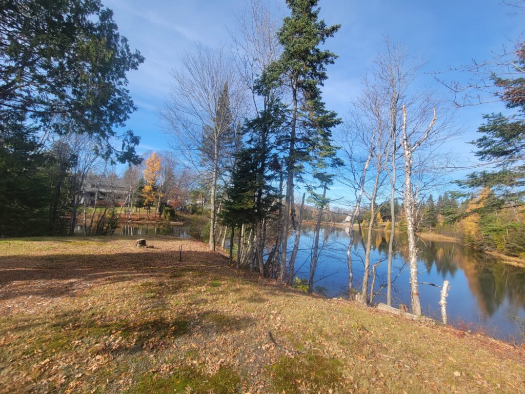 Chalet in Saint Hypolite4 — Copy