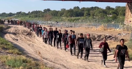 migration